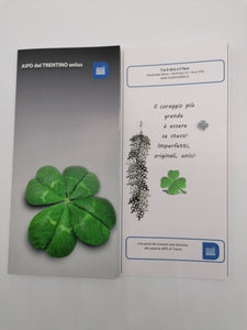 Orecchini diversi per Aipd - 2134